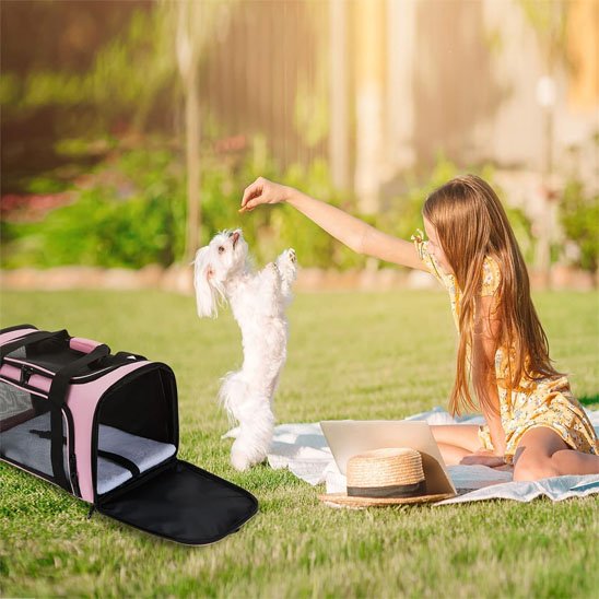 Sac de transport pour chien | Le Praticoâą