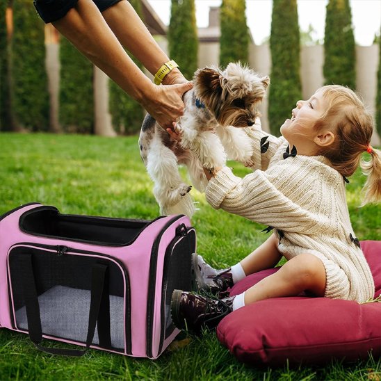 Sac de transport pour chien | Le Pratico™